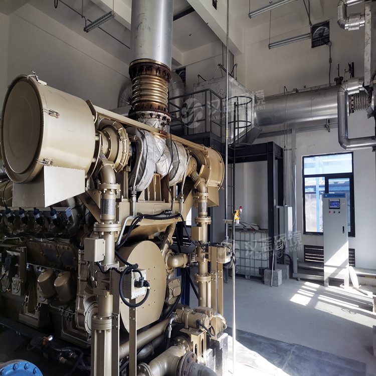 萬純生物質(zhì)沼氣發(fā)電機(jī)組脫硝系統(tǒng) 萬純生物質(zhì)沼氣發(fā)電機(jī)組脫硝系統(tǒng)